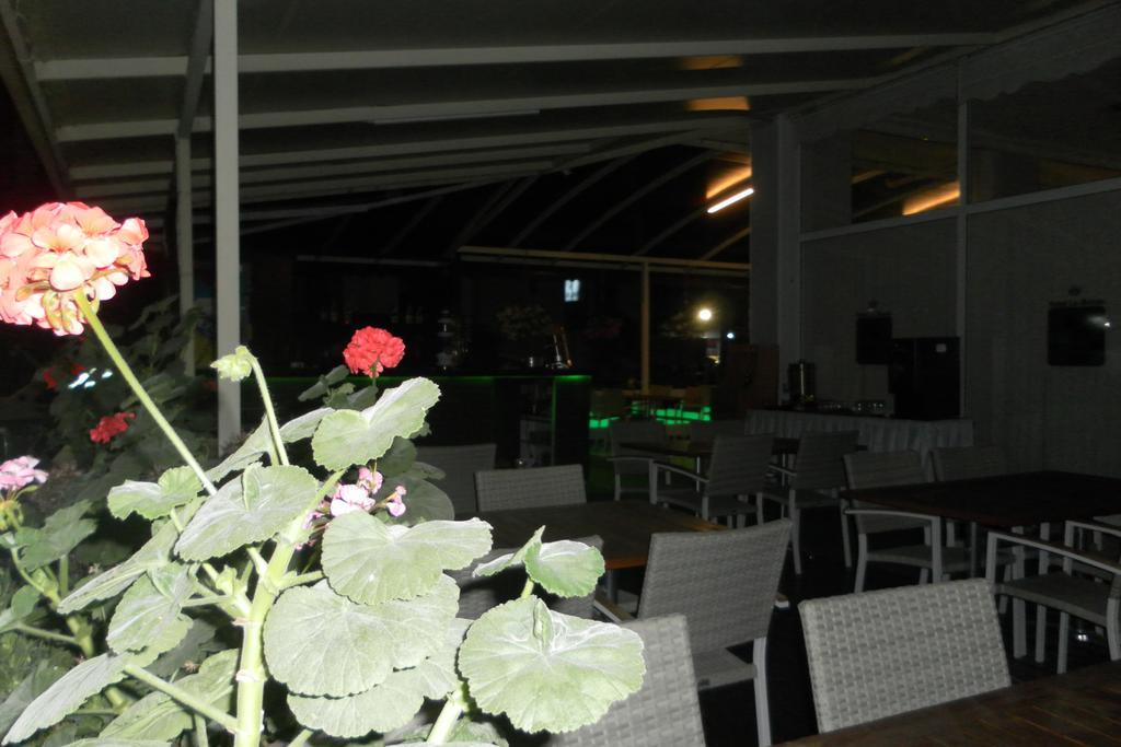 ألانيا Hotel La Mosae المظهر الخارجي الصورة